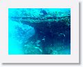 01-Barbados - 67